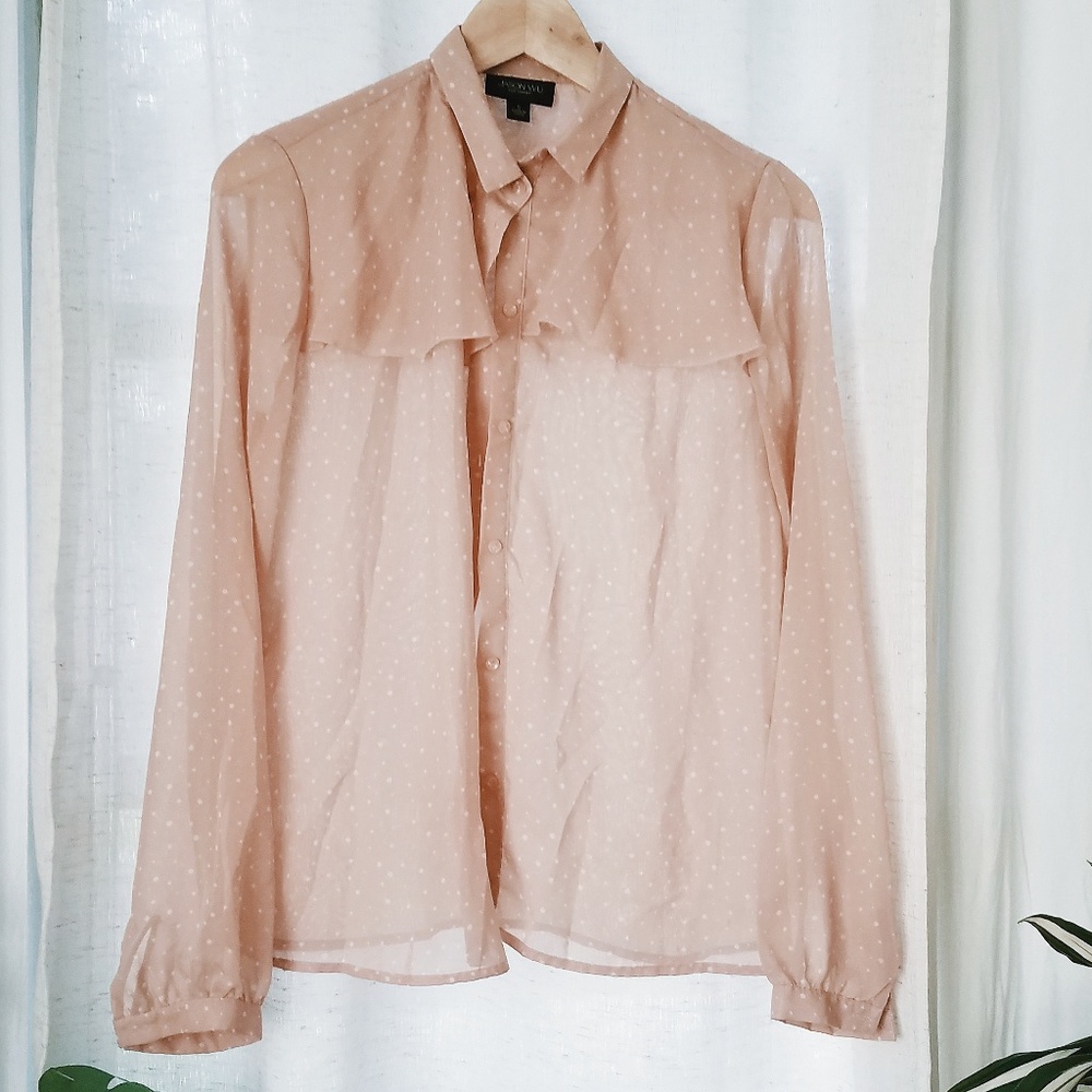 Gorgeous Jason Wu Sheer Blouse